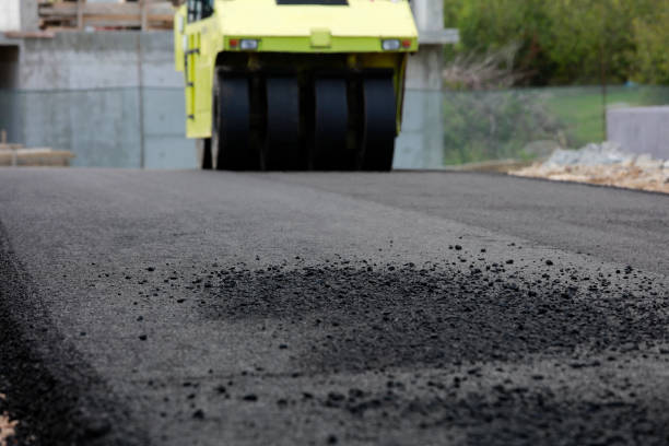 Best Custom Driveway Pavers  in Lincolnia, VA